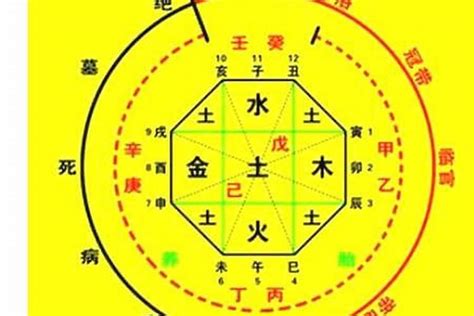 生辰算命|生辰八字算命、五行喜用神查询（免费测算）